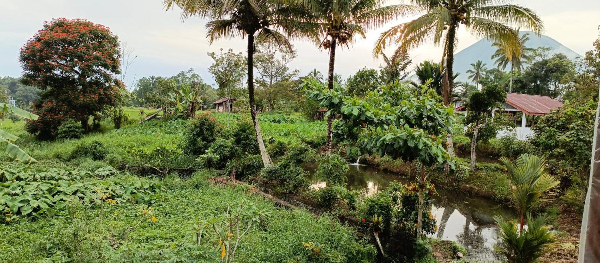Talaga Tomohon Home Stay And Fishing Pond Luaran gambar